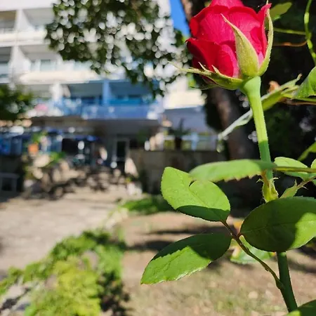 Park-hotel Rusalka Hotel 3*